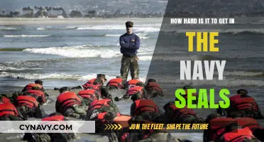 Navy SEALs Selection: Unveiling the Rigorous Path to Becoming an Elite Warrior