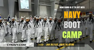 Navy Boot Camp Entry: Challenges, Requirements, and Preparation Tips