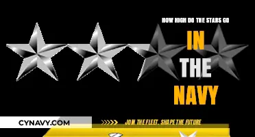 Reaching New Heights: The Limitless Potential in the Navy