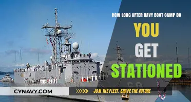 Post-Navy Boot Camp: Understanding Your Station Assignment Timeline