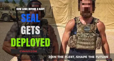 Navy SEAL Deployment Timeline: From Training to First Mission