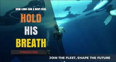 Unleashing the Power of Breath: Navy SEALs' Underwater Endurance Secrets