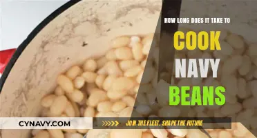 Perfectly Cooked Navy Beans: Timing Tips for Tender Results