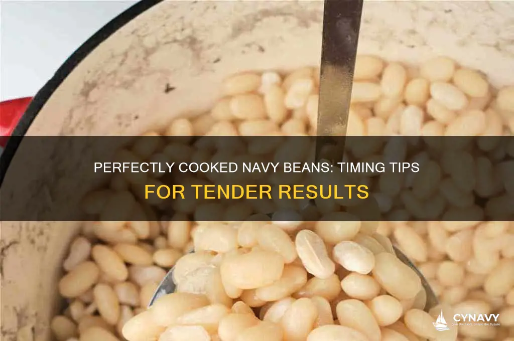 how long does it take to cook navy beans