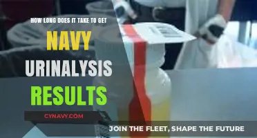 Navy Urinalysis Results Timeline: What to Expect After Testing