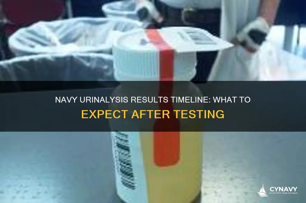 how long does it take to get navy urinalysis results
