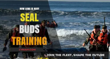 The Rigorous Journey to Becoming a Navy SEAL: BUD/S Training Duration