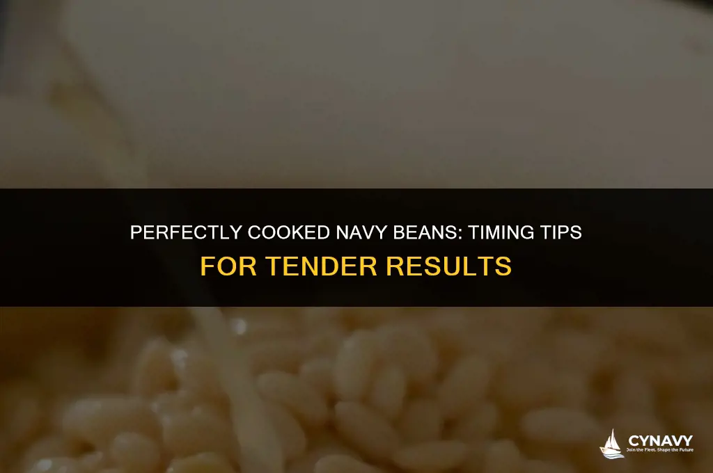 how long to boil navy beans