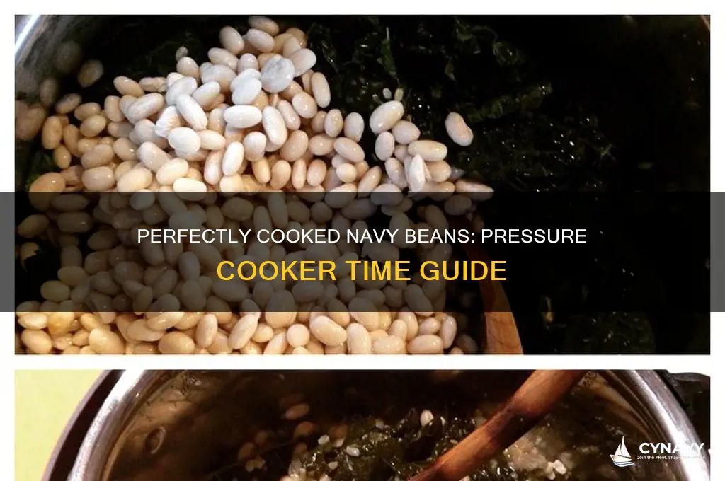 how long to cook navy beans in a pressure cooker