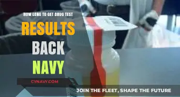 Navy Drug Test Results: Timelines and What to Expect