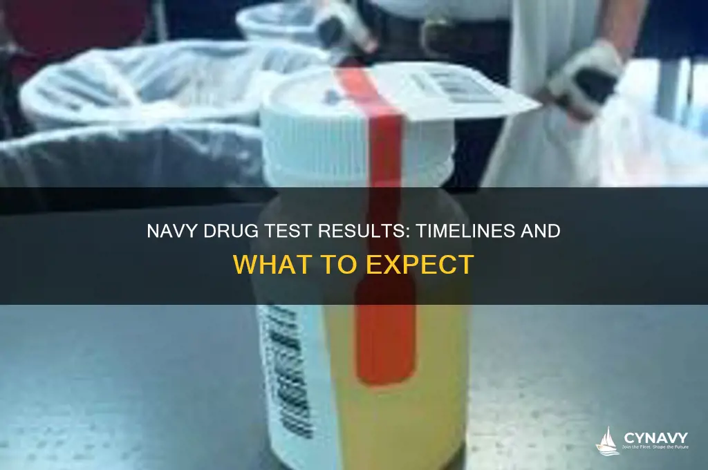 how long to get drug test results back navy