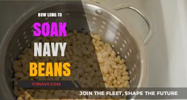 Mastering the Art of Soaking Navy Beans: A Comprehensive Guide