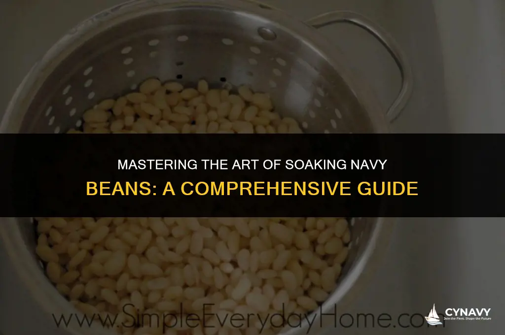 how long to soak navy beans