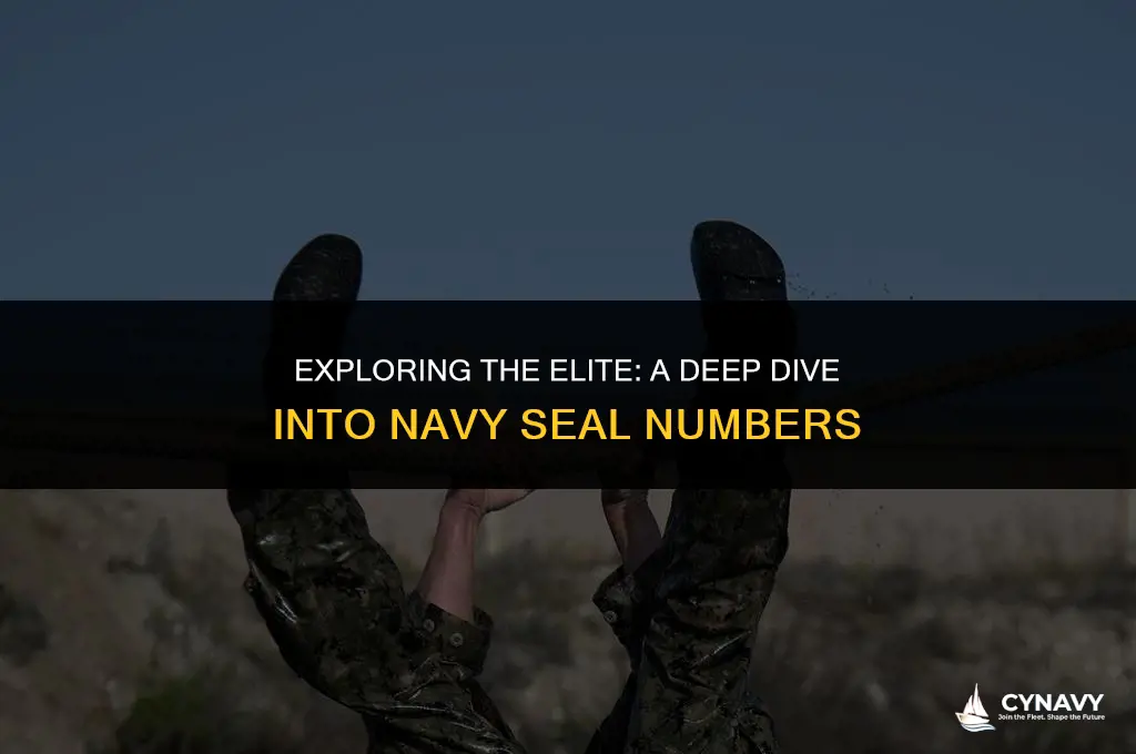how many active duty navy seals are there