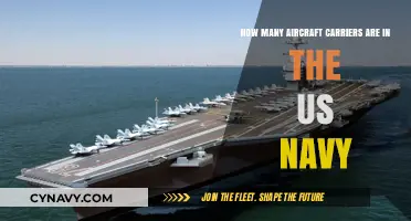 US Navy's Aircraft Carrier Fleet: Current Strength and Capabilities