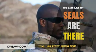 Diversity in the Navy SEALs: Representation and Opportunities for Black Service Members