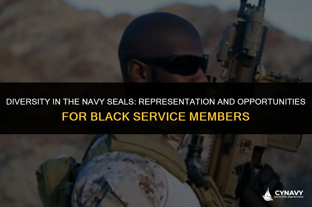 how many black navy seals are there