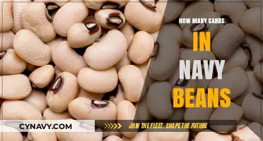 Unveiling the Carb Content of Navy Beans: A Nutritional Insight