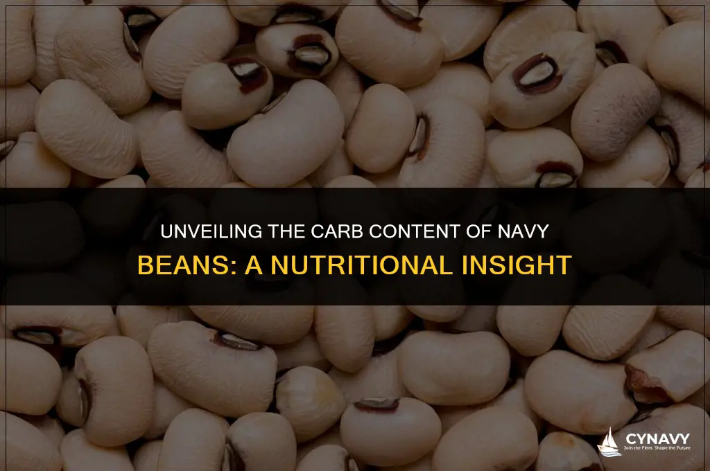 how many carbs in navy beans