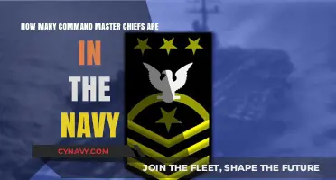 Understanding the Role and Number of Command Master Chiefs in the Navy