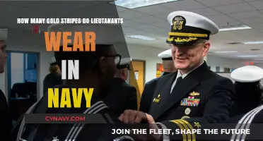 Decoding Naval Ranks: The Gold Stripes of a Lieutenant