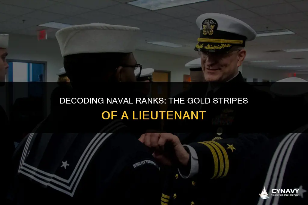 how many gold stripes do lieutanants wear in navy