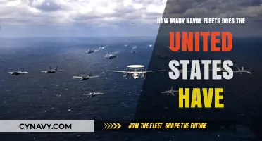 Exploring the United States' Naval Fleets: A Comprehensive Overview