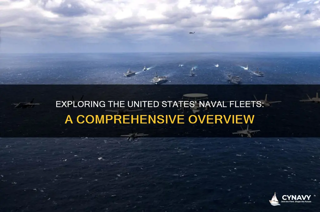 how many naval fleets does the united states have