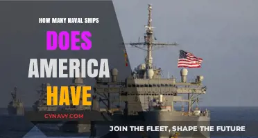 Exploring the Mighty Fleet: A Look at America's Naval Power