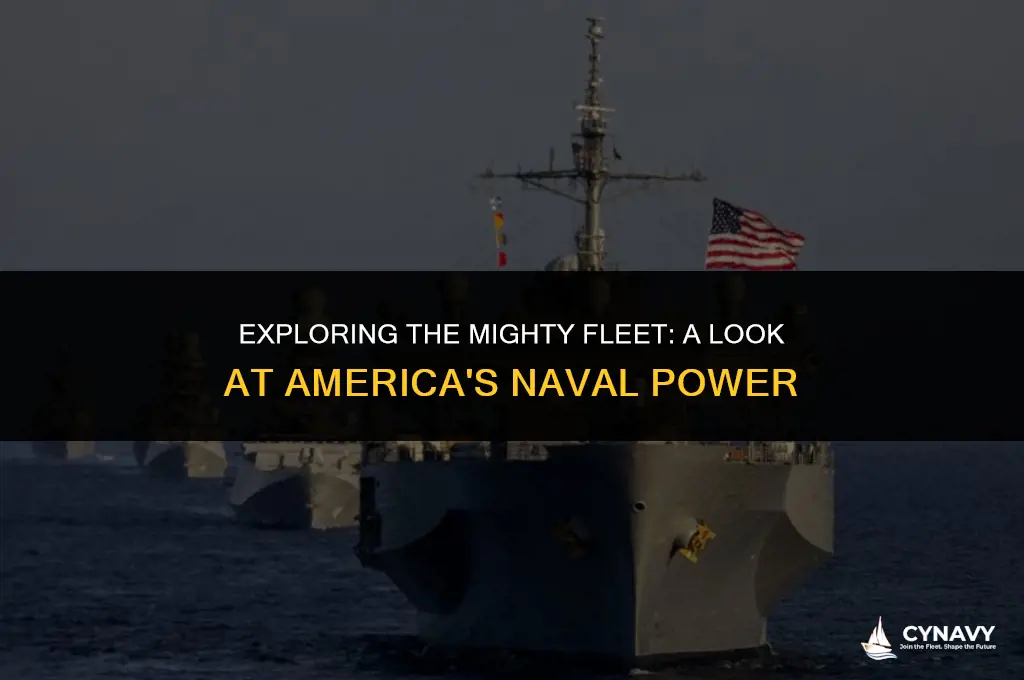 how many naval ships does america have