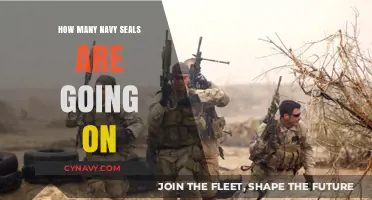 Exploring the Current Deployment Numbers of Navy SEALs