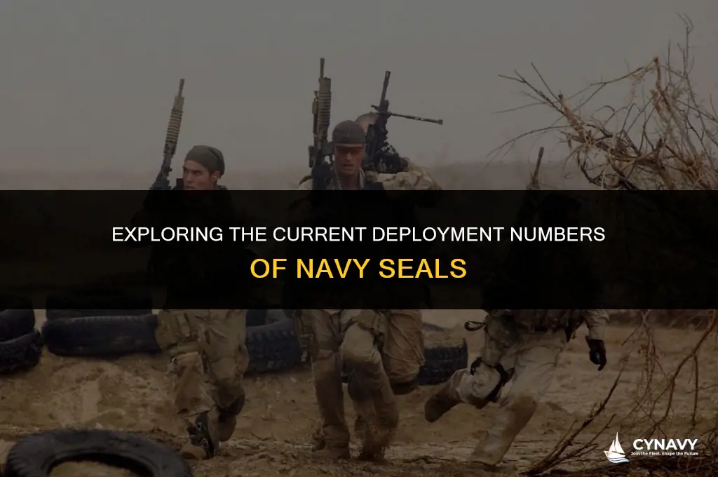 how many navy seals are going on