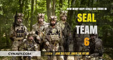 Exploring the Elite: Inside SEAL Team 6's Exclusive Ranks