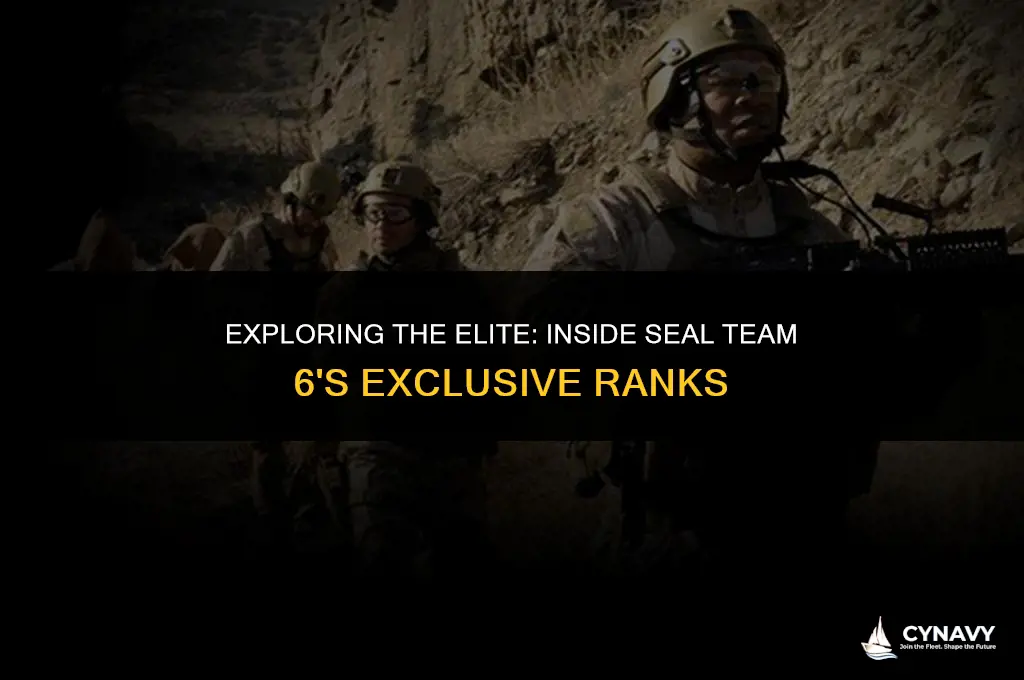 how many navy seals are there in seal team 6