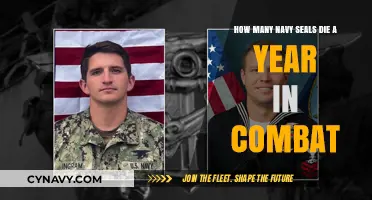 Valor and Sacrifice: The Sobering Reality of Navy SEAL Casualties