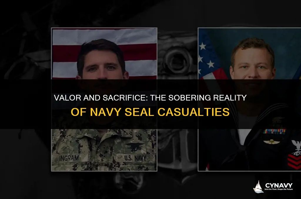 how many navy seals die a year in combat
