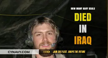 Valor and Sacrifice: Remembering Navy SEALs Fallen in Iraq