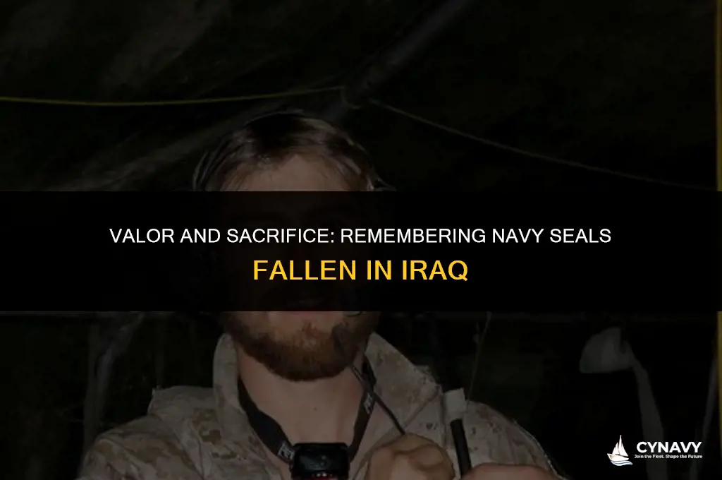 how many navy seals died in iraq
