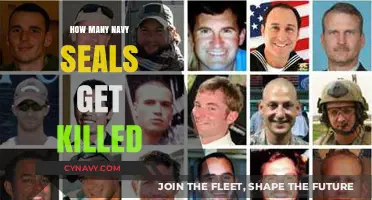 Navy SEAL Fatalities: Understanding the Risks and Realities of Service