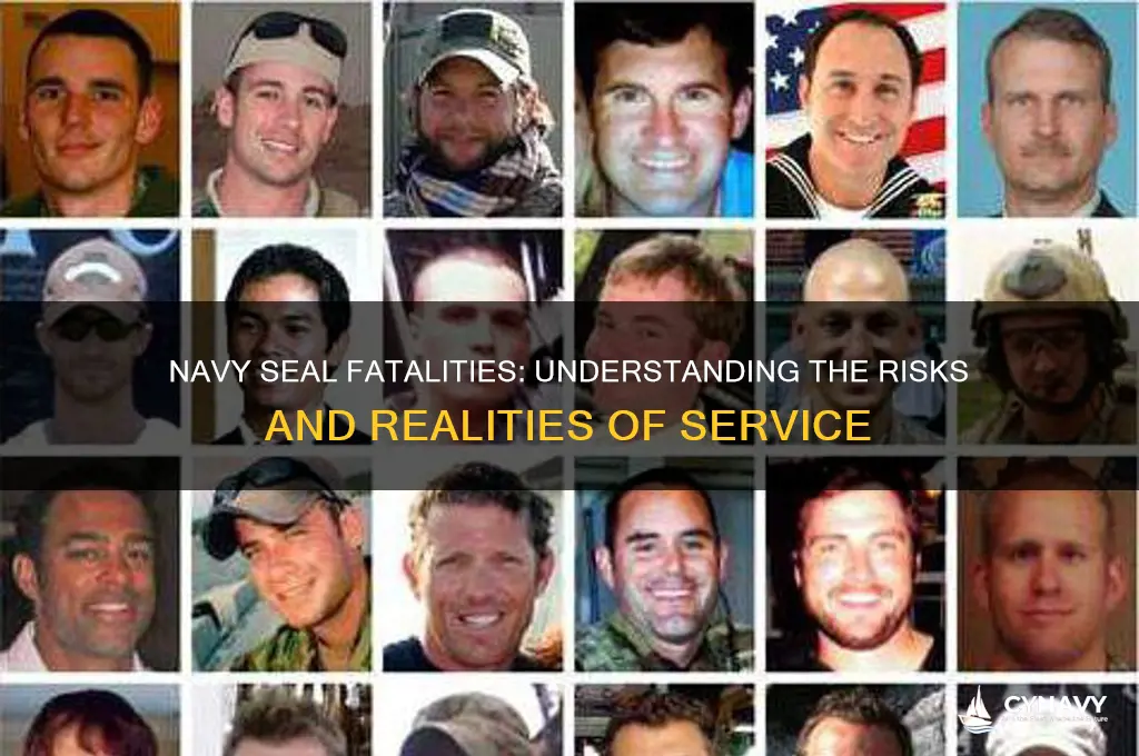 how many navy seals get killed