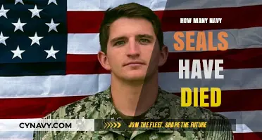 Valor and Sacrifice: Remembering Fallen Navy SEALs