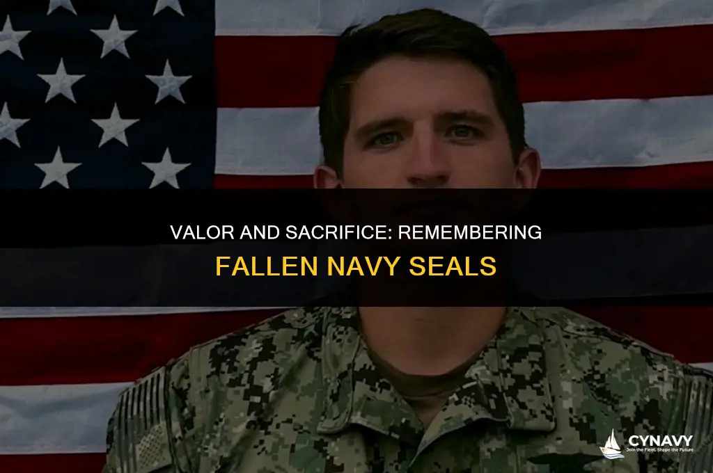 how many navy seals have died