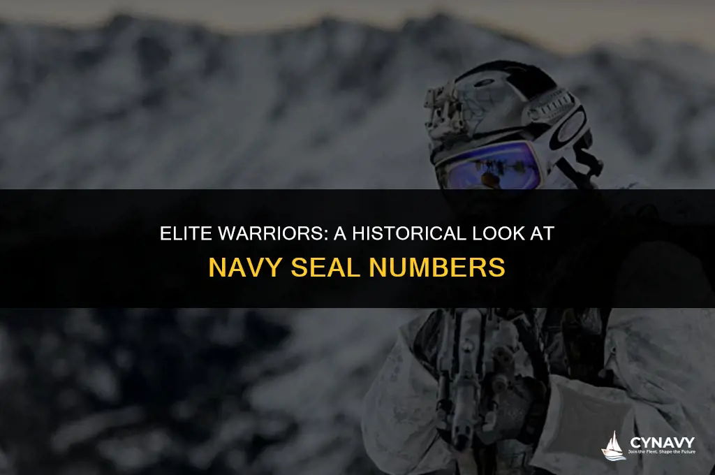 how many navy seals have there been