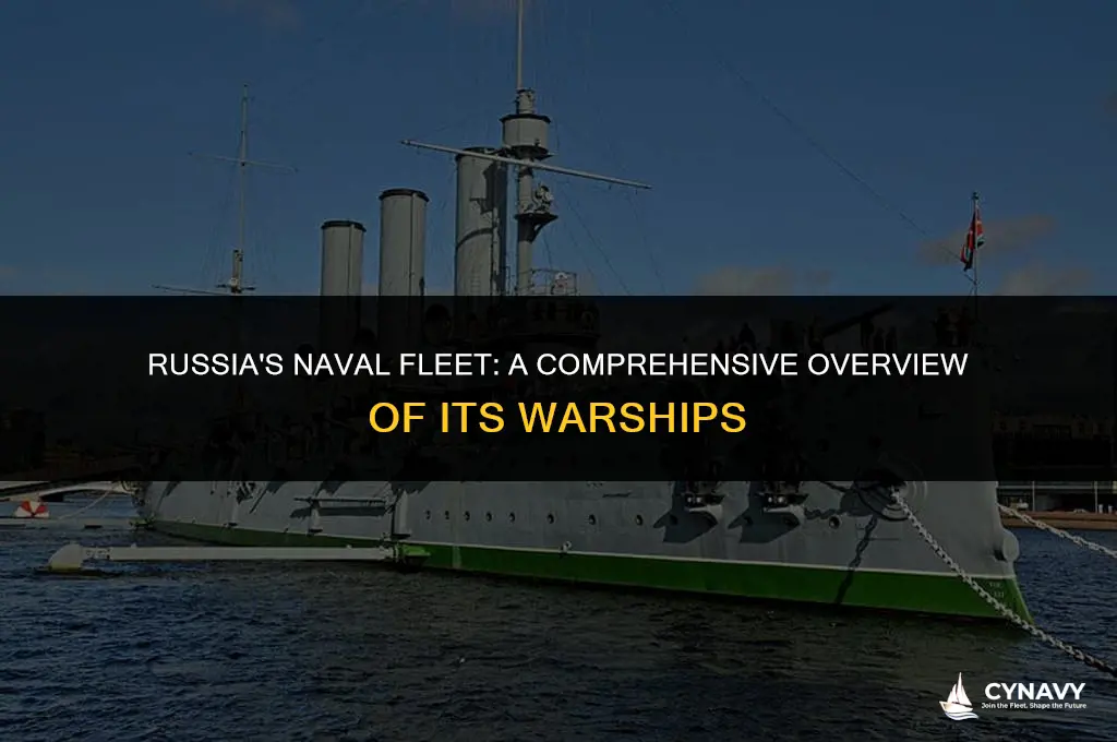 how many navy ships does russia have