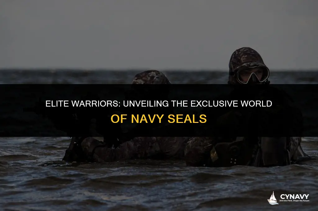 how many people are navy seals