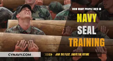 The Deadly Path to Becoming a Navy SEAL: A Sobering Look at the Casualties
