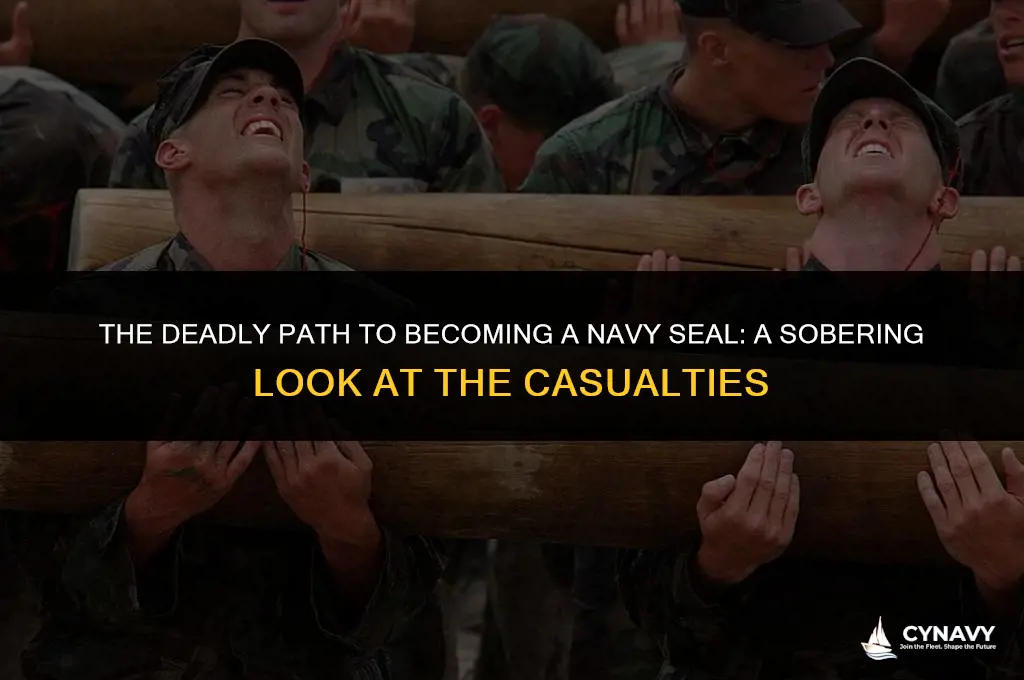how many people died in navy seal training