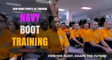 Transforming Recruits: A Glimpse into Navy Boot Camp's Rigorous Journey