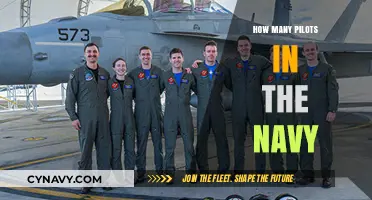 Exploring the Navy's Pilot Roster: A Comprehensive Guide