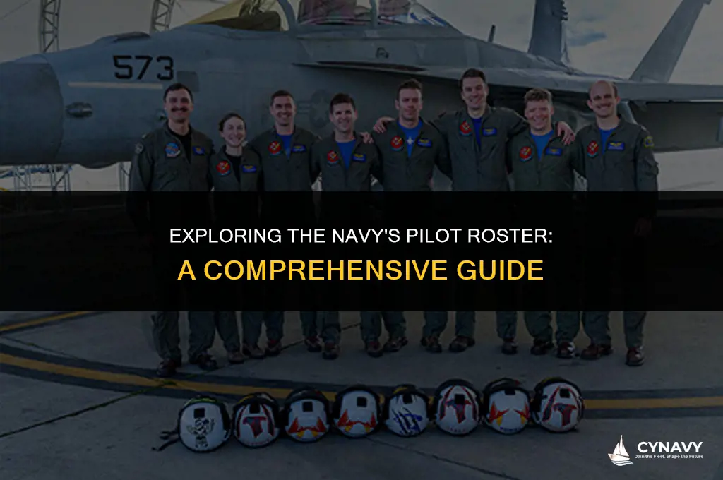 how many pilots in the navy